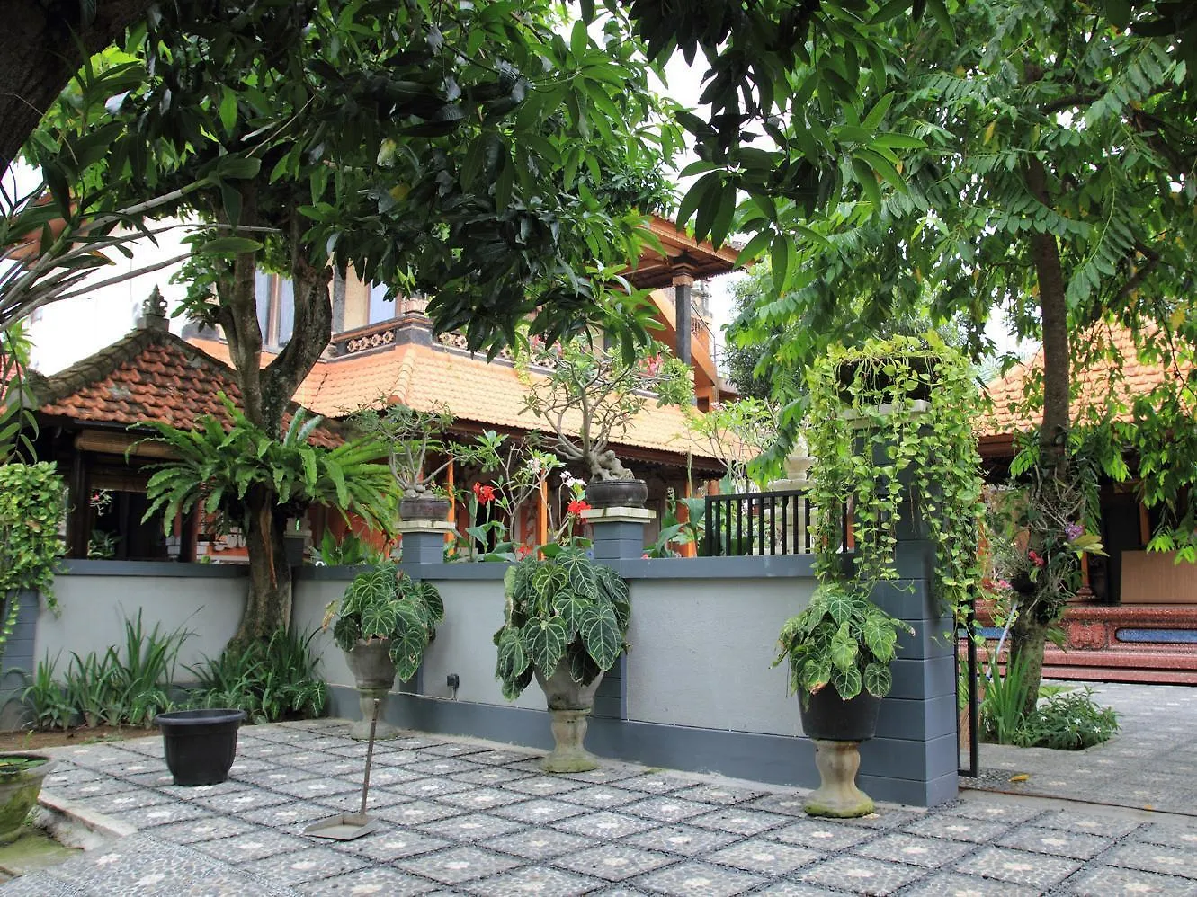 Cinthya Guest House Legian